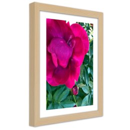 Plakat w drewnianej ramie - Różowy duży kwiat