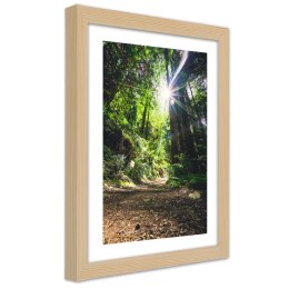 Plakat w drewnianej ramie - Ścieżka w gęstym lesie