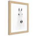 Plakat w drewnianej ramie - Siwy koń