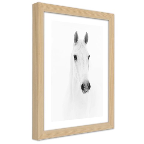 Plakat w drewnianej ramie - Siwy koń
