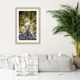 Plakat w drewnianej ramie - Wielkie egzotyczne drzewo