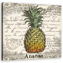 Obraz - Ananas vintage