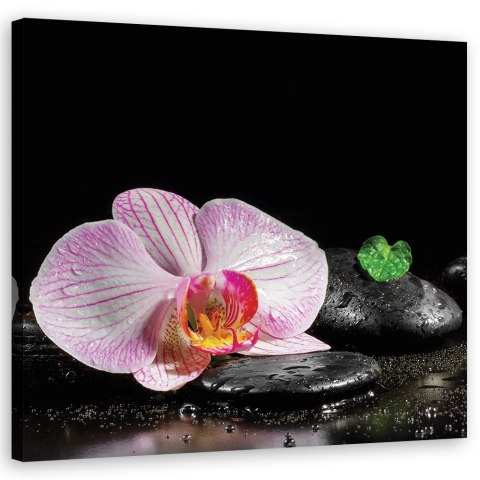 Obraz na płótnie - Kwitnąca orchidea zen Obraz na płótnie - Kwitnąca orchidea zen