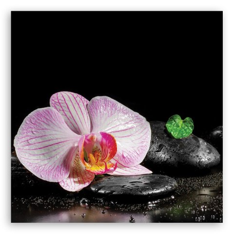 Obraz na płótnie - Kwitnąca orchidea zen Obraz na płótnie - Kwitnąca orchidea zen