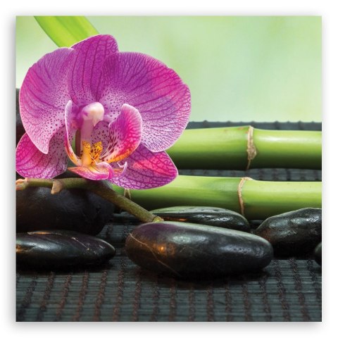 Obraz na płótnie - Orchidea na czarnych kamieniach Obraz na płótnie - Orchidea na czarnych kamieniach