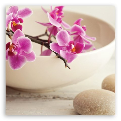 Obraz na płótnie - Różowe orchidee kwiaty Obraz na płótnie - Różowe orchidee kwiaty