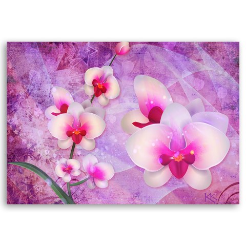 Obraz na płótnie - Orchidea Kwiaty Abstrakcja Obraz na płótnie - Orchidea Kwiaty Abstrakcja