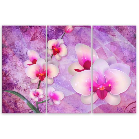 Obraz tryptyk na płótnie - Orchidea Kwiaty Abstrakcja Obraz tryptyk na płótnie - Orchidea Kwiaty Abstrakcja