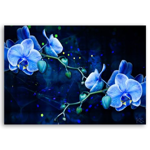 Obraz na płótnie - Niebieski kwiat orchidei Obraz na płótnie - Niebieski kwiat orchidei
