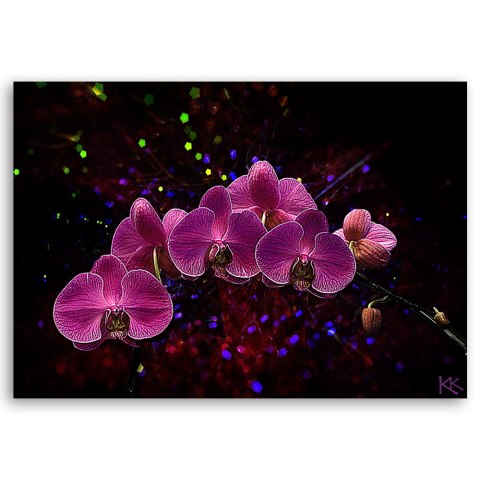 Obraz na płótnie - Orchidea na ciemnym tle Obraz na płótnie - Orchidea na ciemnym tle