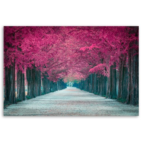 Obraz na płótnie - Różowe drzewa park Obraz na płótnie - Różowe drzewa park