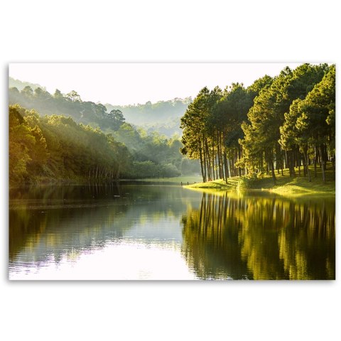 Obraz - Krajobraz las drzewa natura Obraz - Krajobraz las drzewa natura
