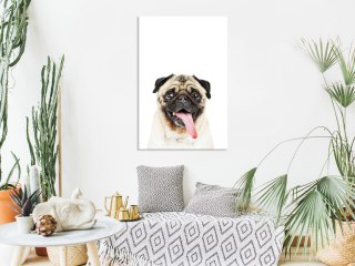 Obraz - Mops (1-częściowy) pionowy