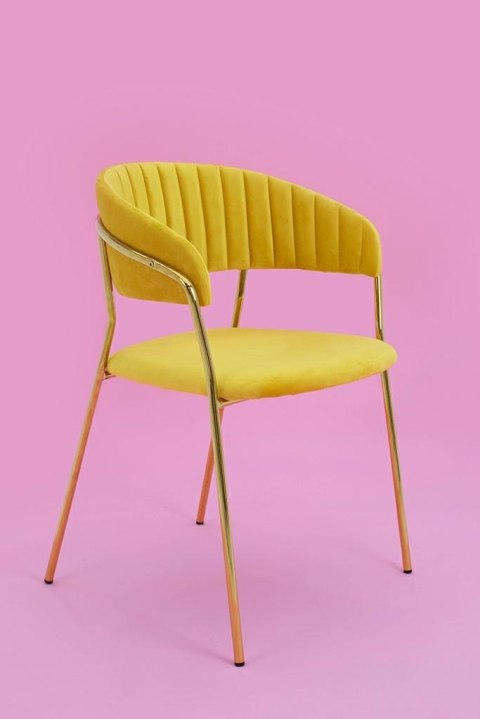 TAPICEROWANE ŻÓŁTE KRZESŁO GLAMOUR - VERONA, WELUROWE, DO SALONU, ZŁOTE TAPICEROWANE ŻÓŁTE KRZESŁO GLAMOUR - VERONA, WELUROWE, DO SALONU, ZŁOTE