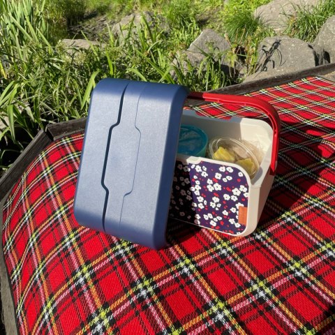 Lunchbox 5L Głęboki, kwiat wiśni 32,6x19,9x18,9cm Lunchbox 5L Głęboki, kwiat wiśni 32,6x19,9x18,9cm