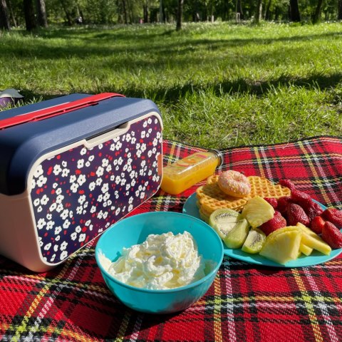 Lunchbox 5L Głęboki, kwiat wiśni 32,6x19,9x18,9cm Lunchbox 5L Głęboki, kwiat wiśni 32,6x19,9x18,9cm