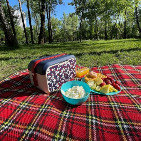 Lunchbox 5L Głęboki, kwiat wiśni 32,6x19,9x18,9cm Lunchbox 5L Głęboki, kwiat wiśni 32,6x19,9x18,9cm