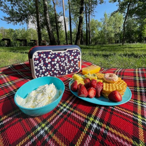 Lunchbox 5L Głęboki, kwiat wiśni 32,6x19,9x18,9cm Lunchbox 5L Głęboki, kwiat wiśni 32,6x19,9x18,9cm