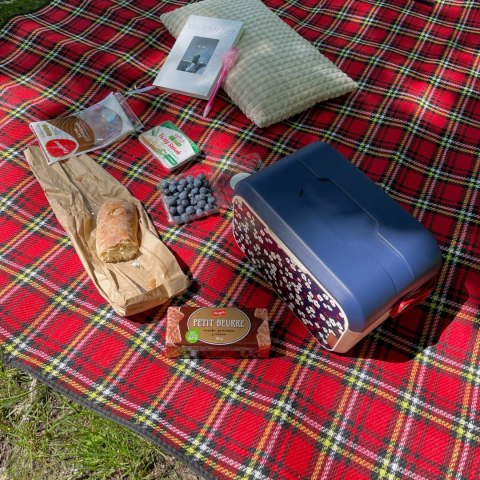 Lunchbox 5L Głęboki, kwiat wiśni 32,6x19,9x18,9cm Lunchbox 5L Głęboki, kwiat wiśni 32,6x19,9x18,9cm