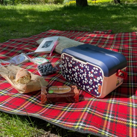 Lunchbox 5L Głęboki, kwiat wiśni 32,6x19,9x18,9cm Lunchbox 5L Głęboki, kwiat wiśni 32,6x19,9x18,9cm