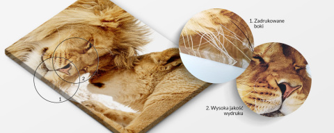 Obraz - Wysublimowane maki Obraz - Wysublimowane maki