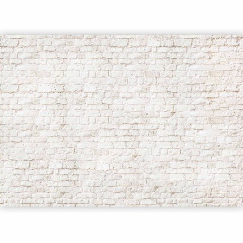 Fototapeta - Tabula rasa