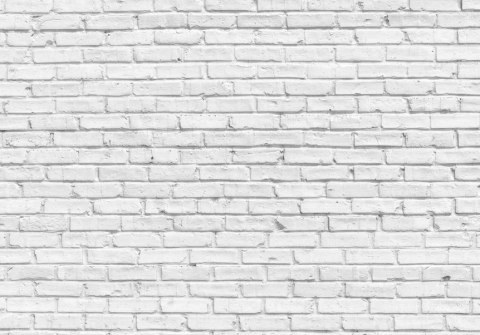 Fototapeta - Biały kamień