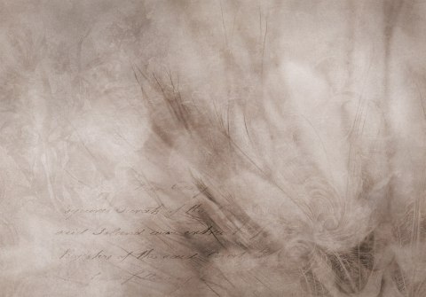 Fototapeta - Abstrakcja scandi boho - delikatna kompozycja z napisami i kwiatami