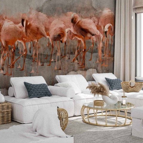 Fototapeta - Egzotyczne ptaki - różowe flamingi z cieniem na szarym betonowym tle