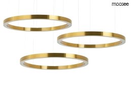 MOOSEE lampa wisząca RING 100 + 100 + 100 złota na jednej podsufitce