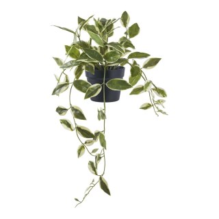 Sztuczna roślina Hoya 33 cm
