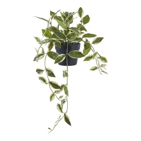 Sztuczna roślina Hoya 33 cm