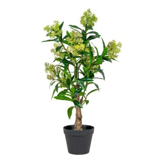 Sztuczne drzewko Skimmia 75 cm Intesi nowoczesne sztuczne rośliny do salonu i sypialni ( Rozmiar: uniwersalny )