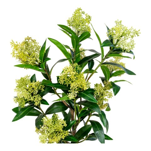 Sztuczne drzewko Skimmia 75 cm Intesi nowoczesne sztuczne rośliny do salonu i sypialni ( Rozmiar: uniwersalny )