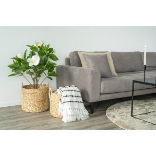 House Nordic Passo zestaw 2 koszy dekoracyjnych boho hiacynt wodny do salonu ( Rozmiar: uniwersalny )