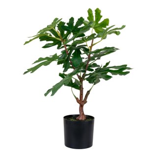Sztuczne drzewo figowe 60cm ( Rozmiar: uniwersalny )