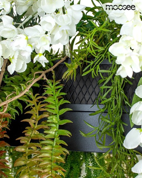 LAMPA WISZĄCA FIORITO MOOSEE, LED, Z ROŚLINAMI, PILOT, CZARNY RING, DESIGN