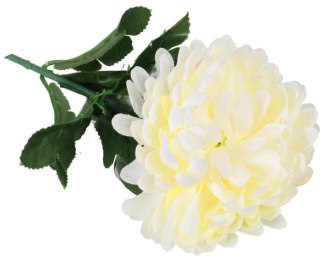 Chryzantema pojedynczy kwiat w kolorze białym 70 cm fi 12 cm
