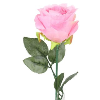 Róża pojedynka 68 cm w różowym kolorze
