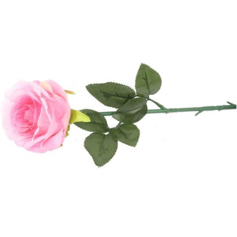 Róża pojedynka 68 cm w różowym kolorze