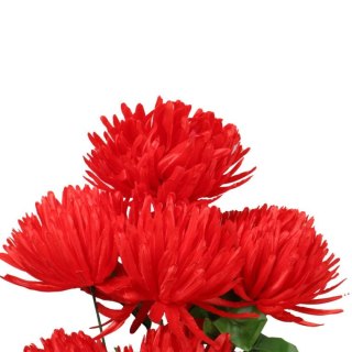 Bukiet 7 chryzantem strzępiastych w kolorze czerwonym