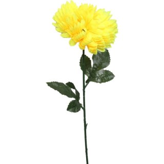 Chryzantema pojedynczy kwiat w kolorze żółtym 70 cm