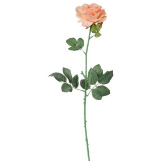 Róża pojedyncza, rozwinięta w kolorze łososiowym 68 cm