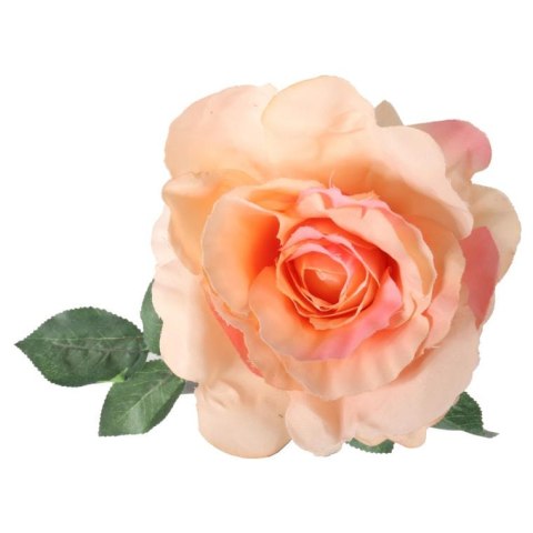 Róża pojedyncza, rozwinięta w kolorze łososiowym 68 cm