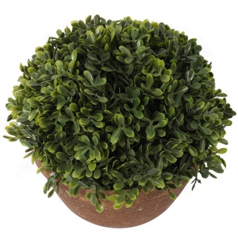 Sztuczna Roślina Bukszpan w Ceramicznej Doniczce 20 cm