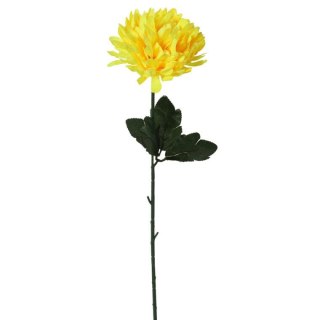 CHRYZANTEMA POJEDYNCZY KWIAT 50 CM ŻÓŁTY