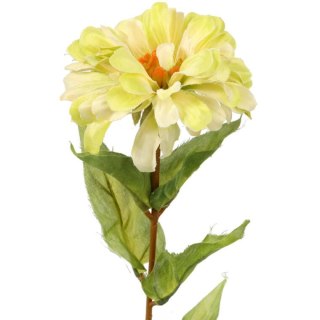 Żółta Cynia Dekoracyjna 75 cm