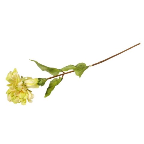Żółta Cynia Dekoracyjna 75 cm