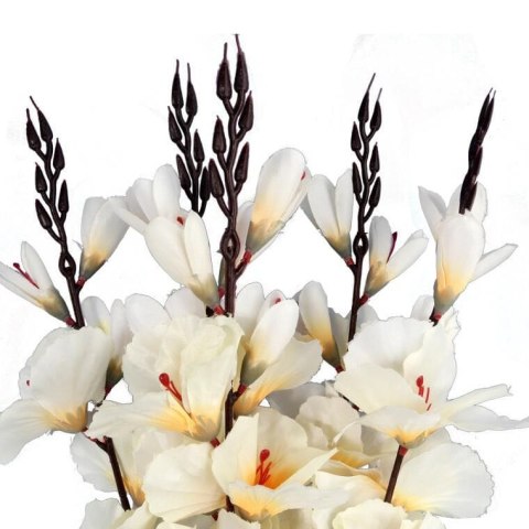 Bukiet 5 gladioli kremowych