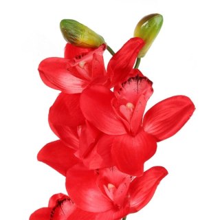 Storczyk Orchidea Czerwona Premium - Dekoracja Naturalnej Wielkości